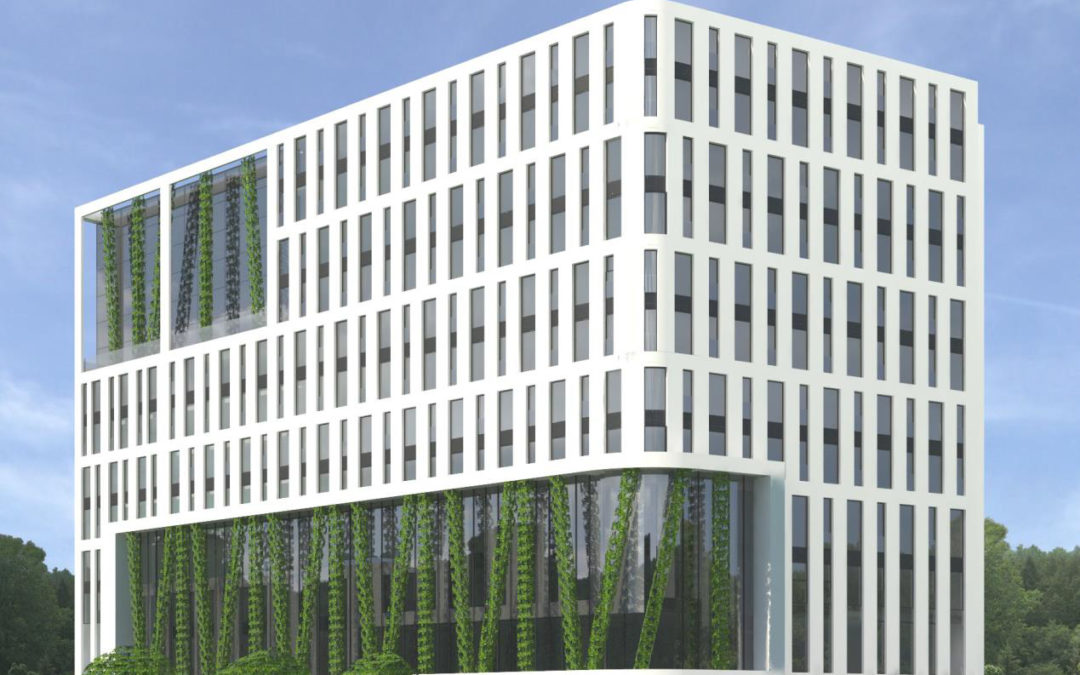 “We focus on expansion” – an interview about the condition of the market and perspectives of Focus Hotels chain