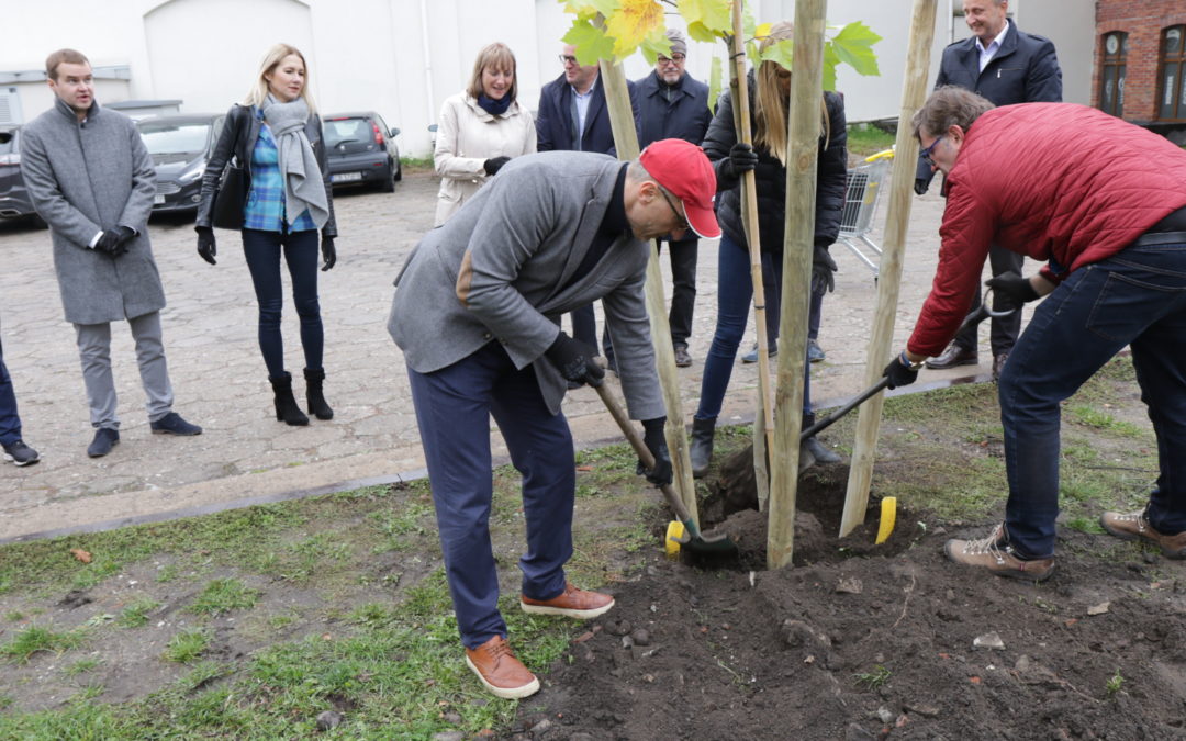 Dzień Drzewa z Grupą Kapitałową IMMOBILE i Fundacją Immo