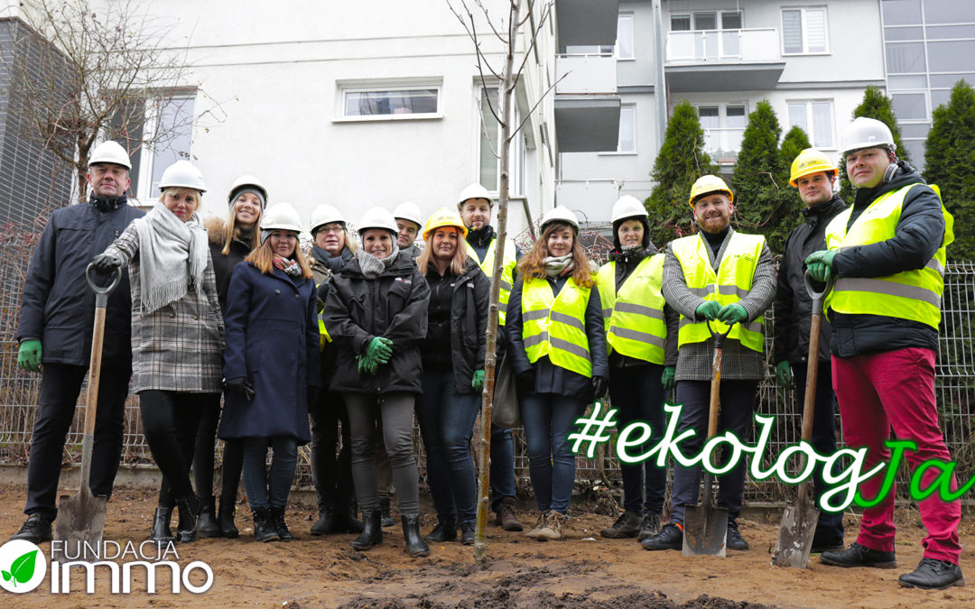 The Immo Foundation has planted more trees