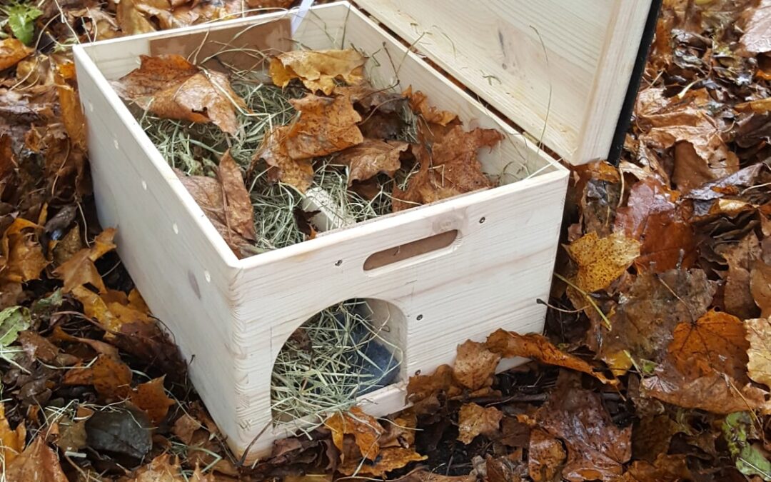 The Group’s new development investment and hedgehogs